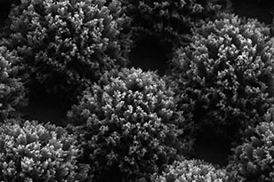 兰州兰州蔡司显微镜